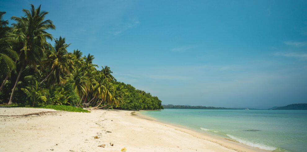 Andaman tour package Havelock island beach crystal clear water view