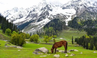 Kashmir tour package 5 days scenic mountains and valley view