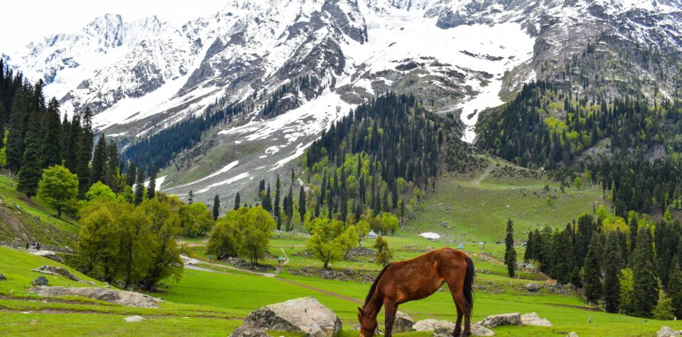 Kashmir tour package 5 days scenic mountains and valley view