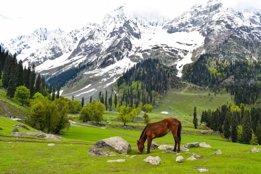 Kashmir tour package 5 days scenic mountains and valley view