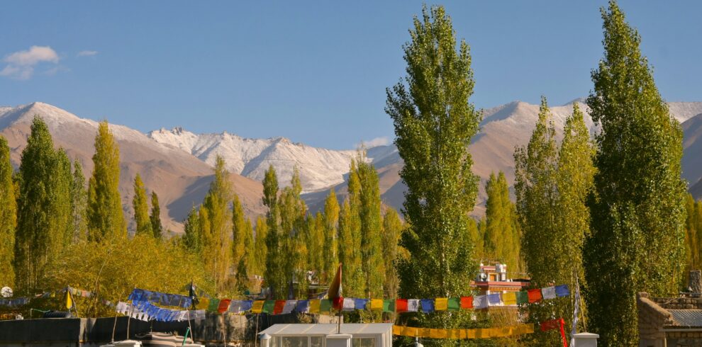 Luxury Ladakh tour package premium camp mountain landscape