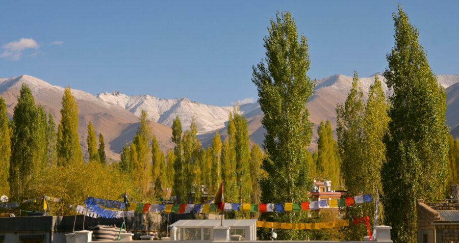 Luxury Ladakh tour package premium camp mountain landscape