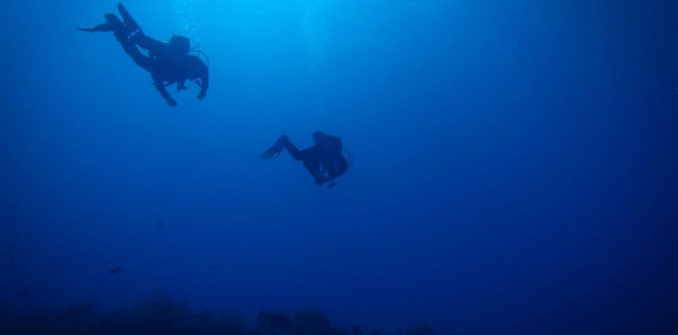 Andaman adventure tour package scuba diving underwater experience